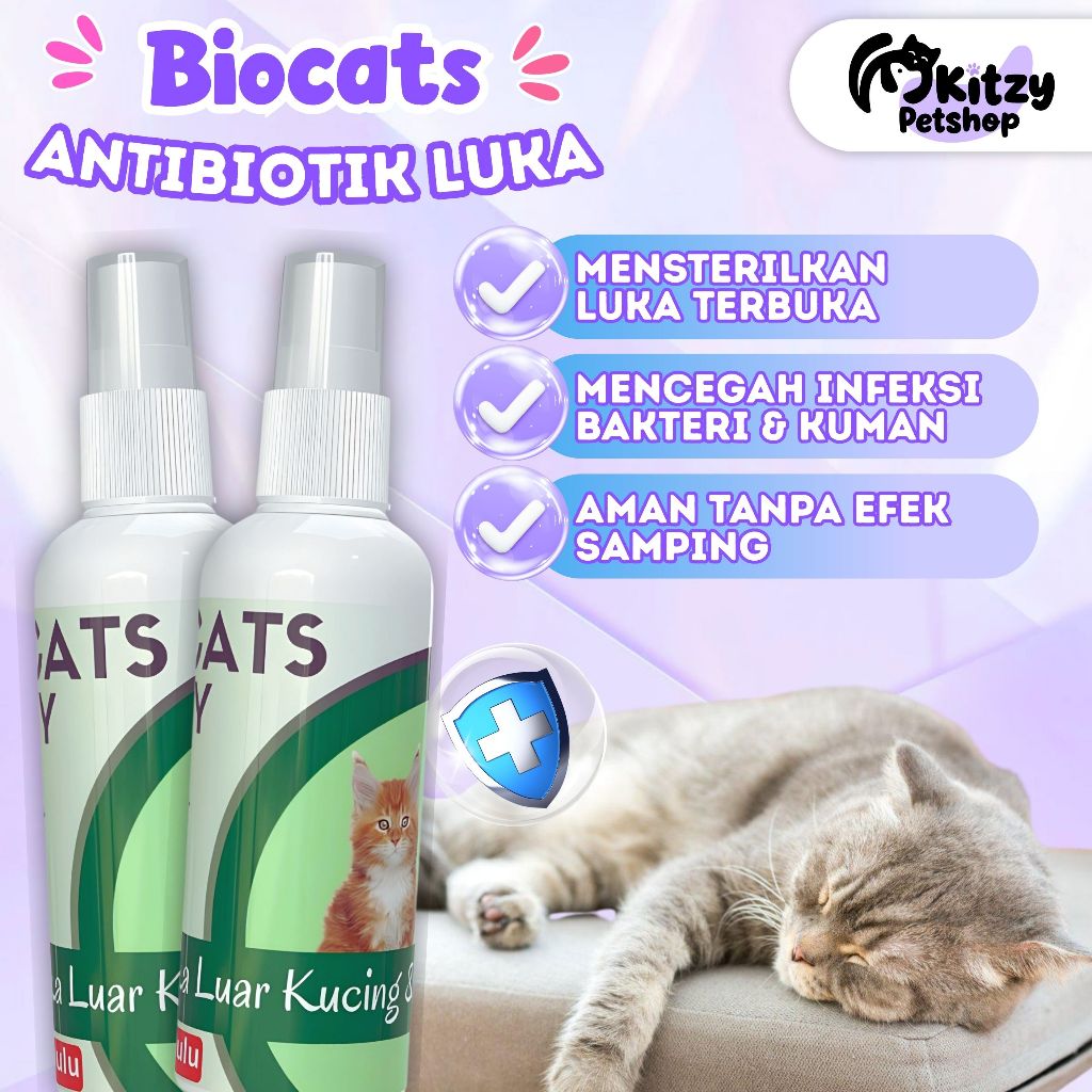 Obat Luka Luar Kucing Anjing Anti Jamur Biocats Spray Semprotan Antibiotik KITZY