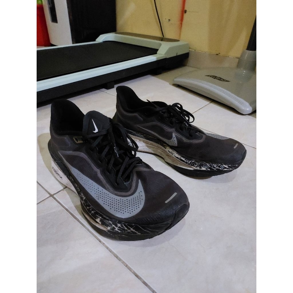 Nike Zoomfly 6