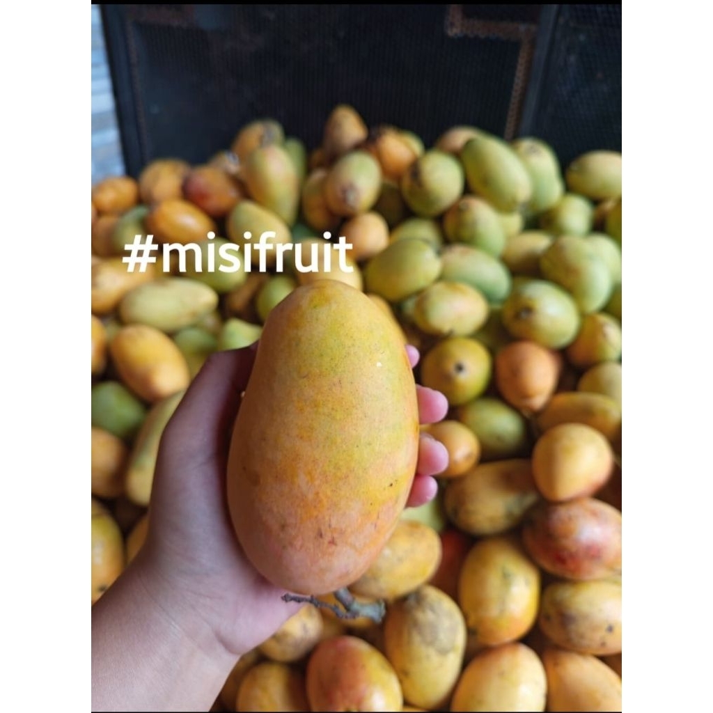 Mangga Podang