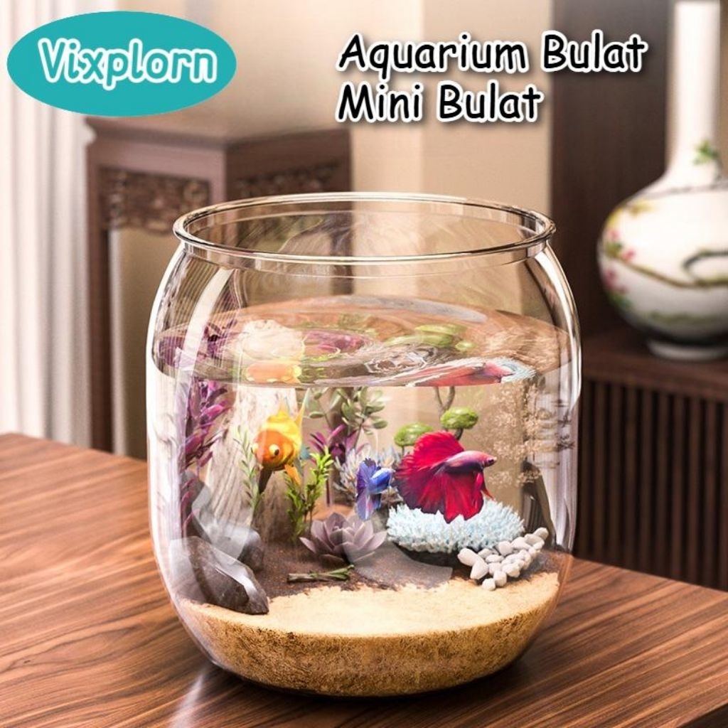 Vixplorn Aquarium Bulat Mini Bulat Aesthetic Aquarium Cupang Mini Vas Aquarium Bulat
