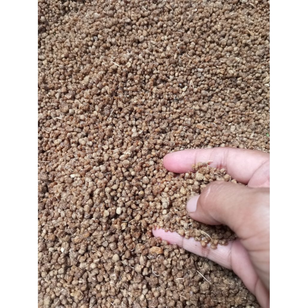 Oyek Singkong Khas Cilacap.|Oyek tiwul mentah|Oyek tiwul singkong|