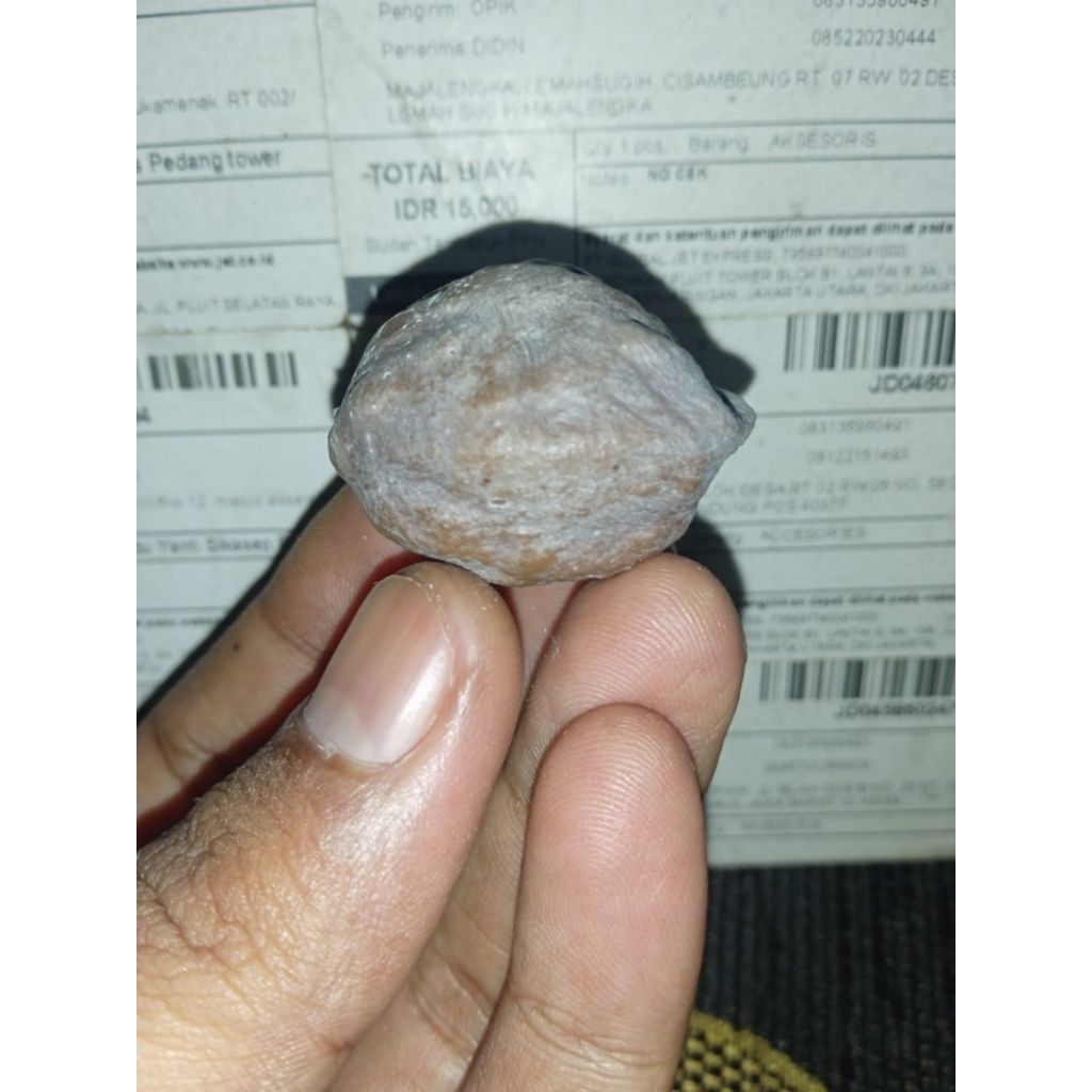 Muncang adu AMD anak Mayit Dedi Grade A Ukuran pemukul