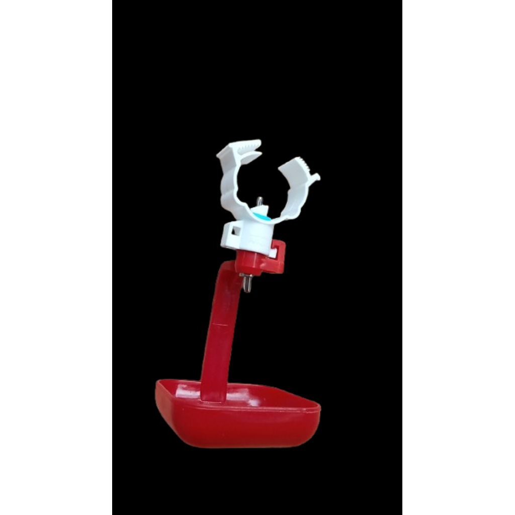 nepel nepel nipple ayam bertelur otomatis