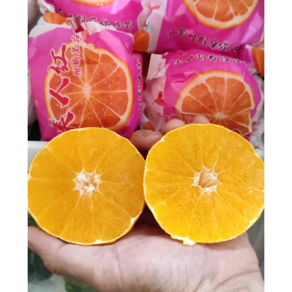 jaruk aiyuan /jeruk jelly/pcs