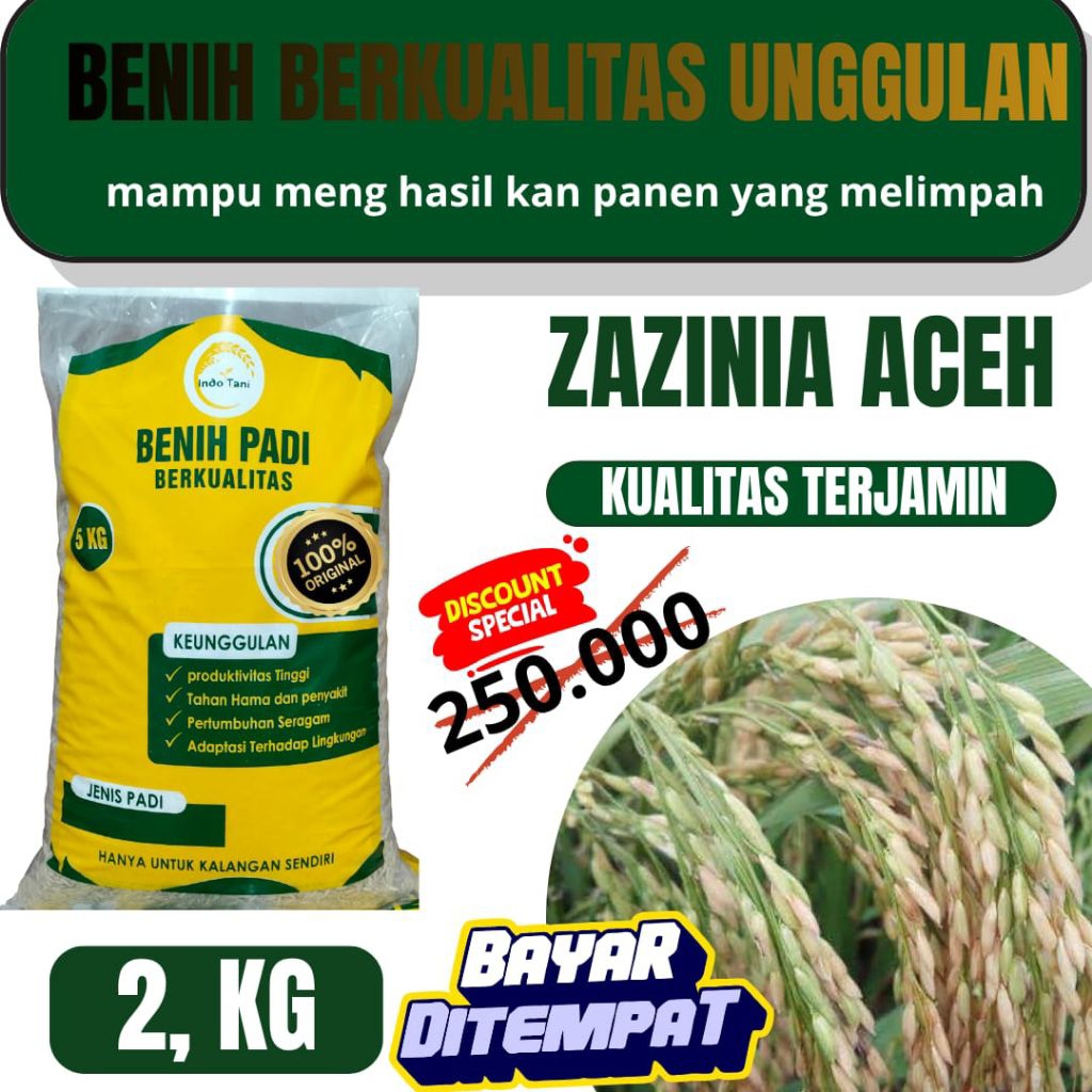 benih padi unggul berkualitas super Zizania aceh 2,Kg