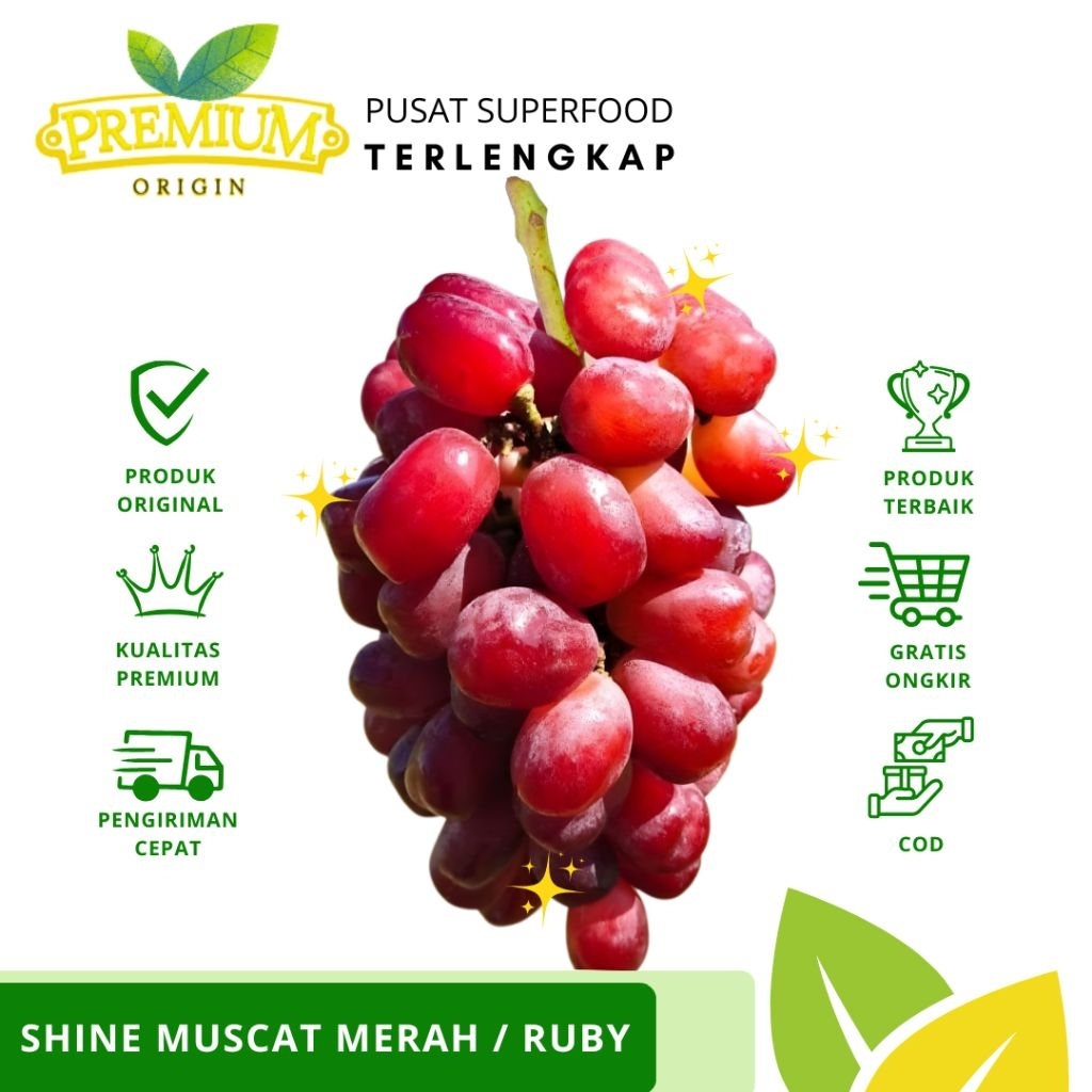 FRESH Anggur Shine Muscat Merah Ruby 350 gram | Premium Shine Muscat | Anggur Merah Sultan