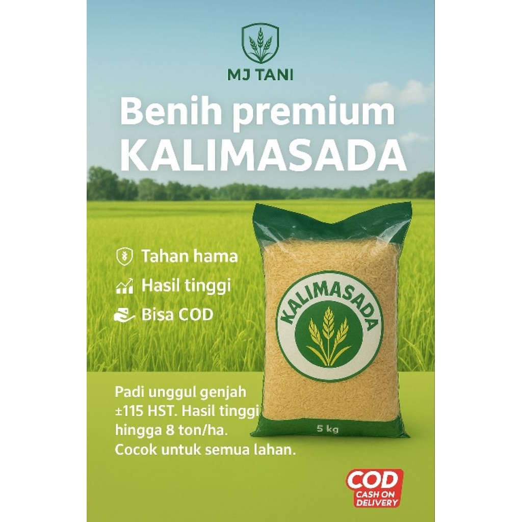 benih padi unggul berkualitas KALIMASADA premium
