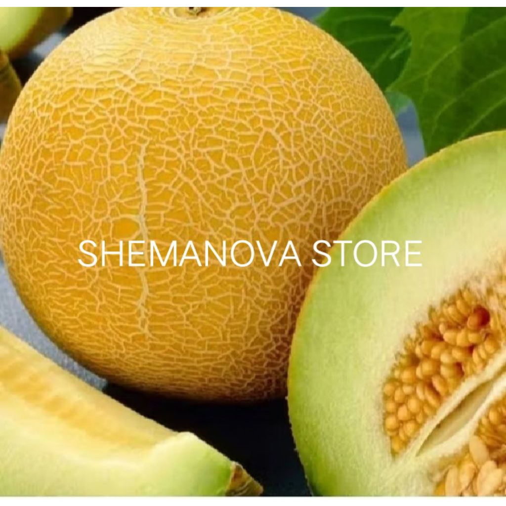 TERLARIS 100 BENIH MELON MADU SUPER MANIS