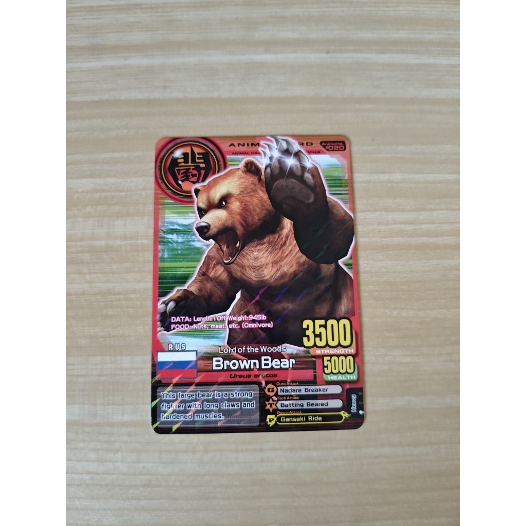 Kartu Animal Kaiser Plus Version 2 Animal Card Brown Bear