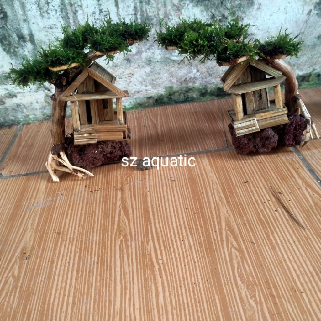 miniatur bonsai rumah pohon tipe miring aquascape