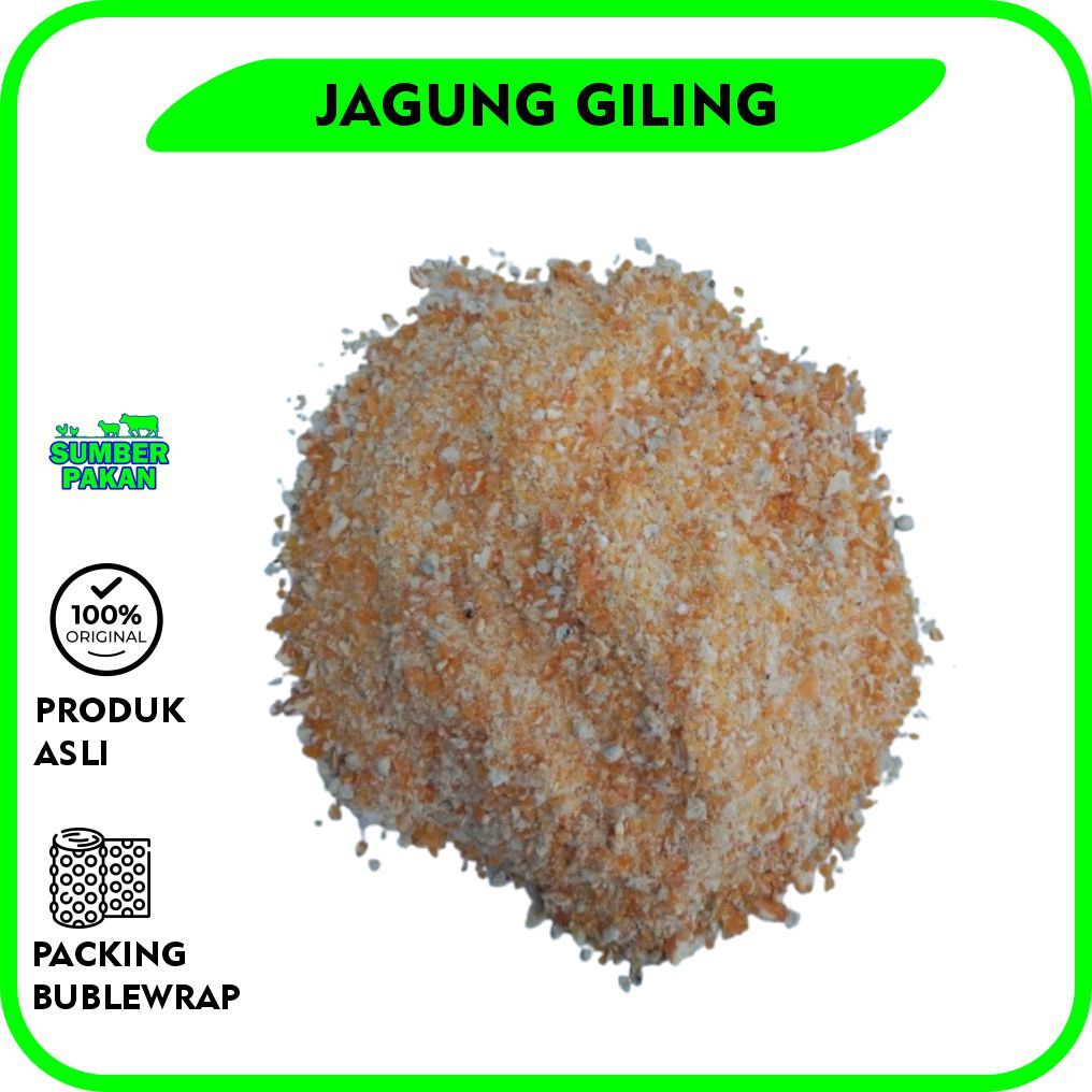 JAGUNG GILING PAKAN AYAM