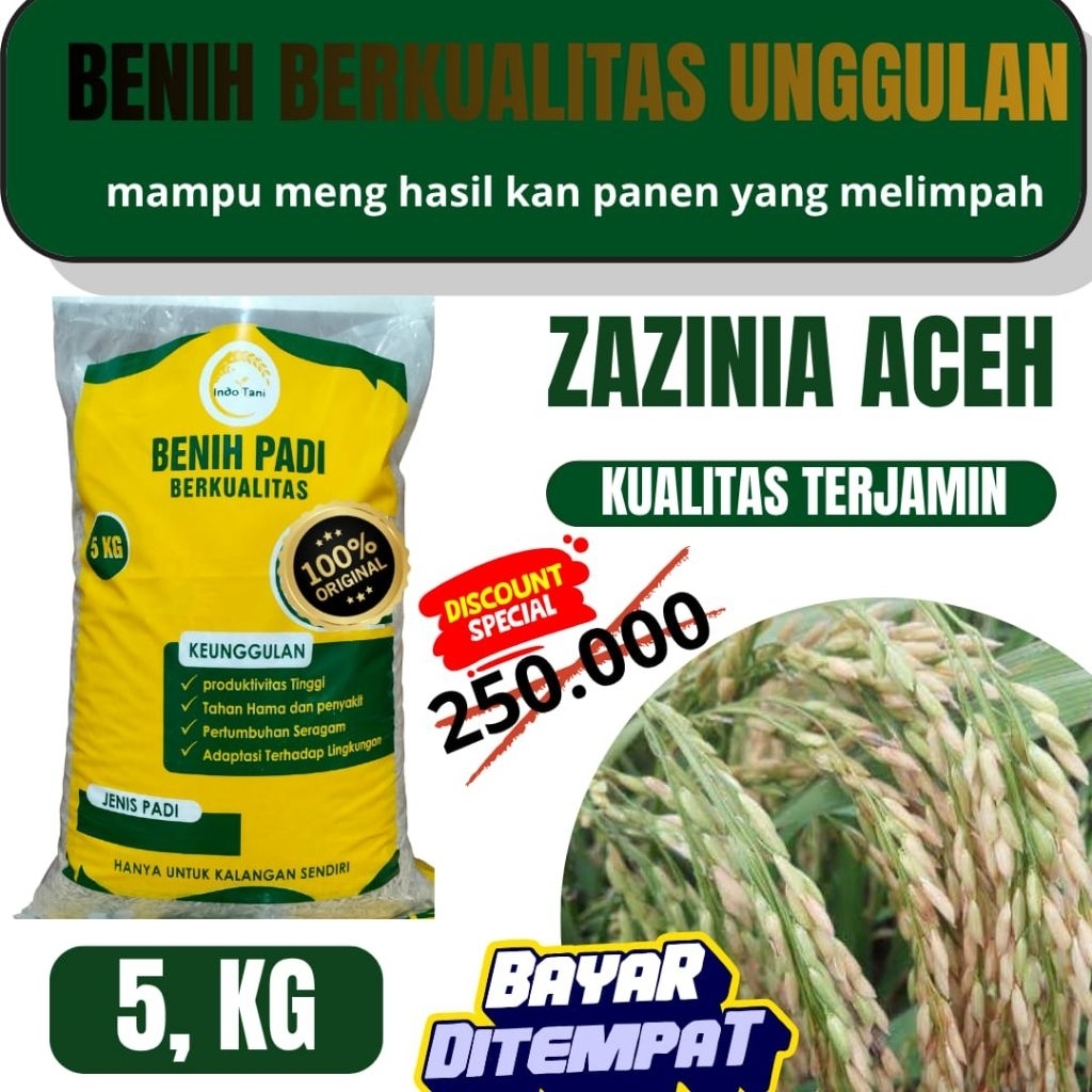 benih padi unggulan super Zizania Aceh kemasan 5kg