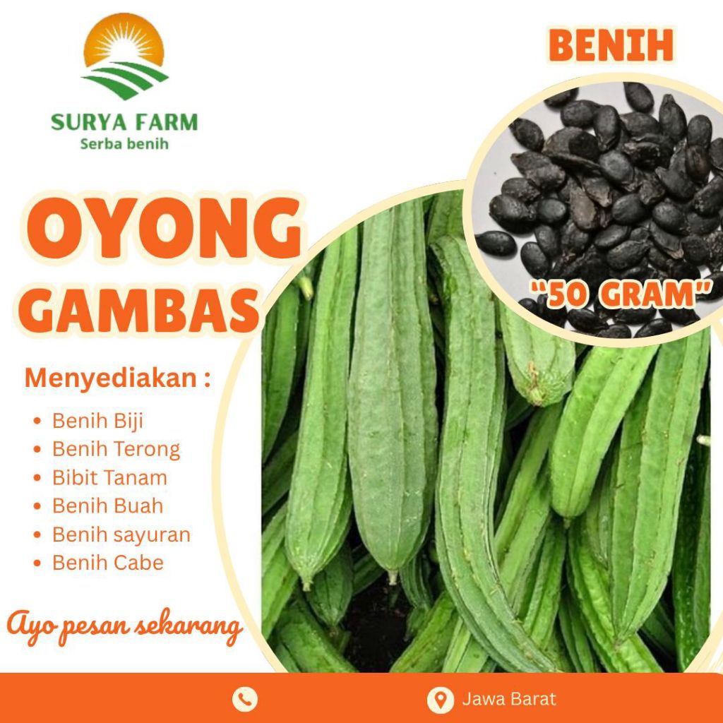 Benih Biji Oyong Gambas Panjang Surya farm Kemasan/Bibit Oyong Gambas Paketan biji
