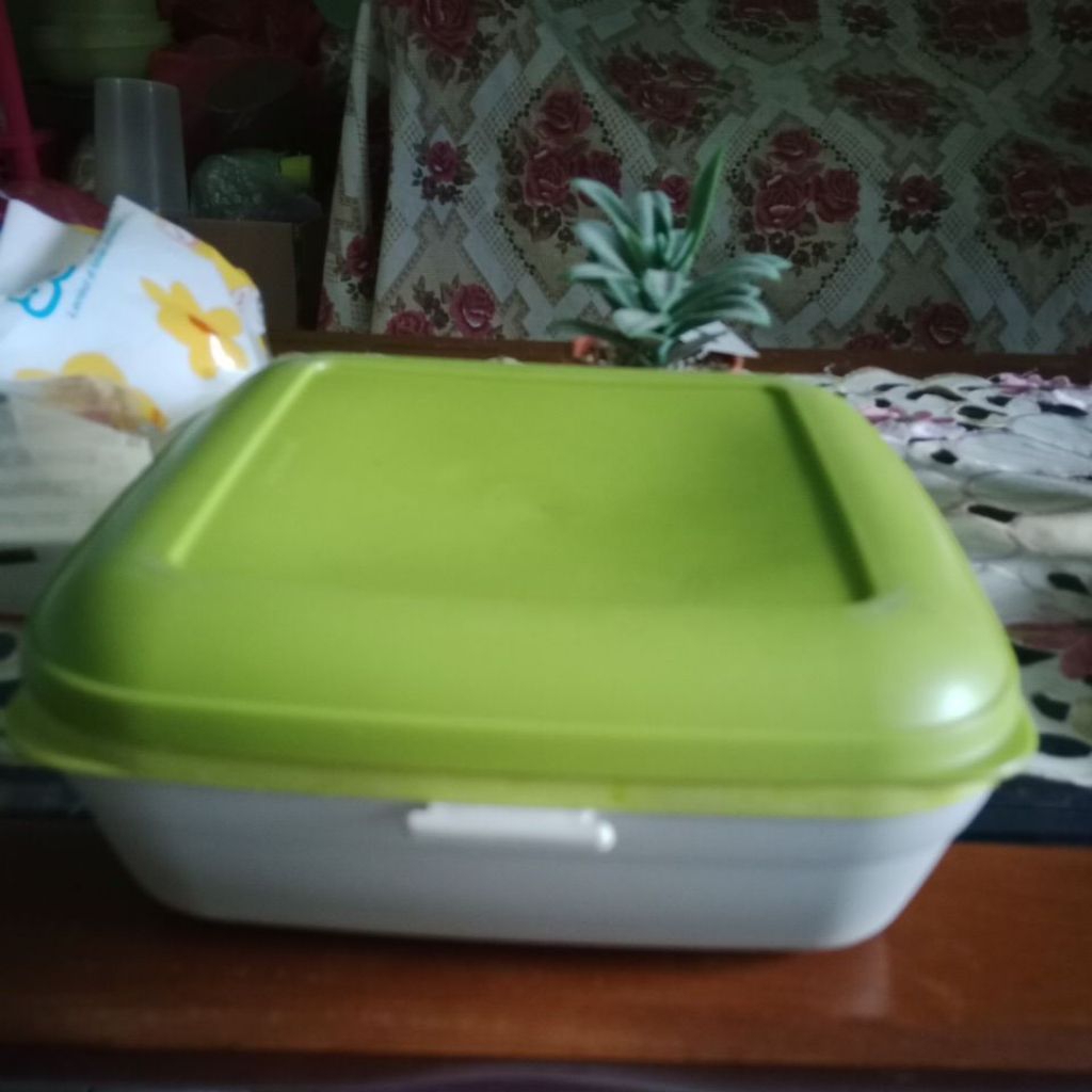 Rantang PST Tupperware, second, ada minus