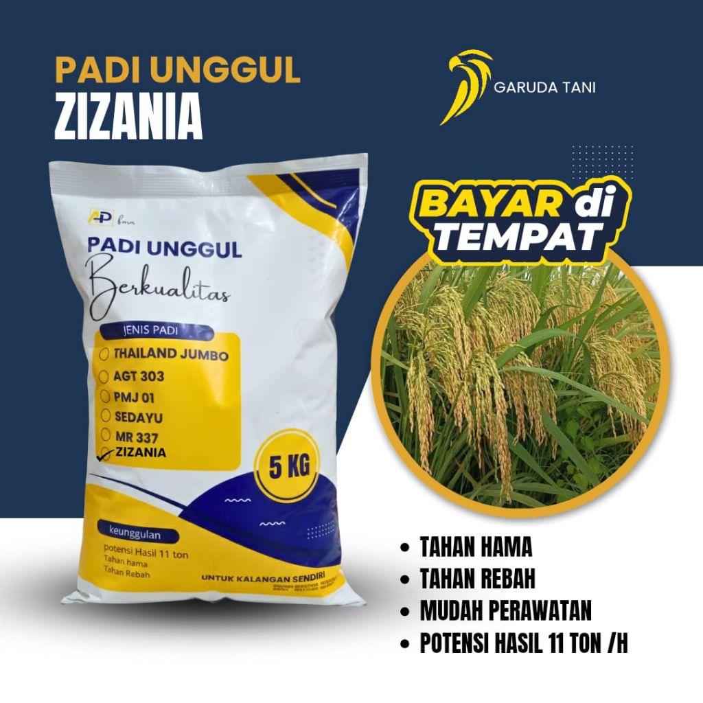 benih padi unggul zizania kemasan 5kg original benih padi unggul zizania kemasan 5kg original
