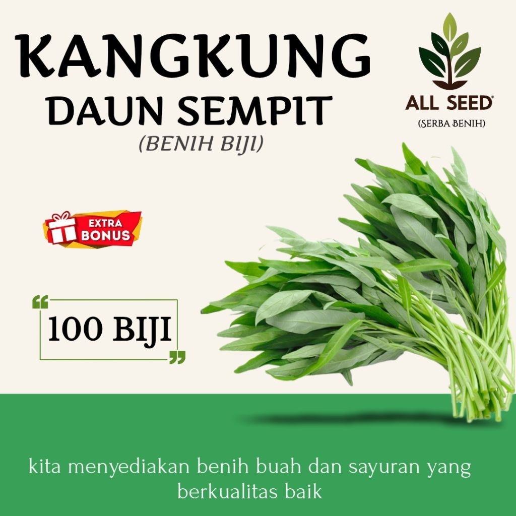 ( 100 biji ) Benih kangkung daun sempit | bibit biji kangkung | kangkung hidroponik | kangkung daun 
