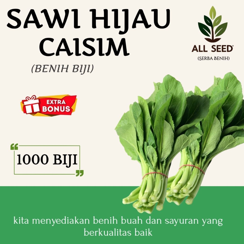 ( 1000 biji ) Benih Sawi hijau caisim | bibit biji caisim | sawi caisim | sawi hijau