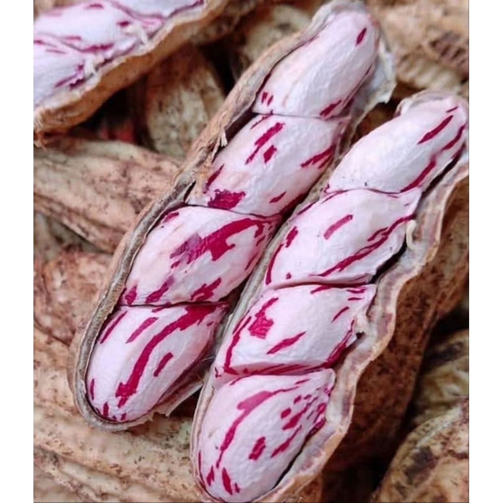 Kacang  Madu Lurik 1kg