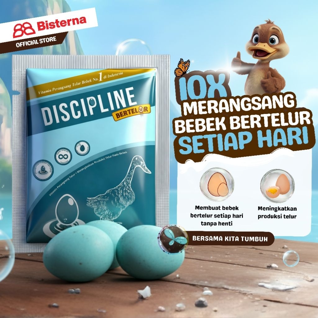 DISCIPLINE BERTELUR Vitamin Bebek petelur untuk membuat produksi telur maksimal dan cangkang telur k