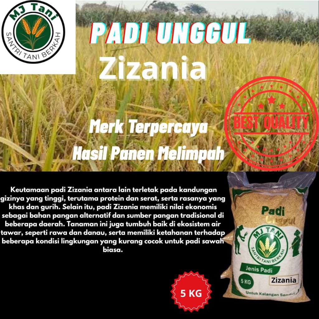 Bibit padi pilihan, ZIZANIA kemasan 5KG