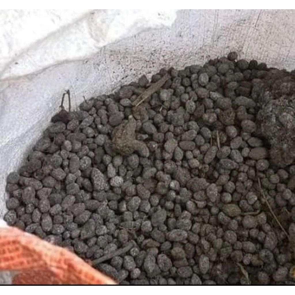 Pupuk kotoran kambing murni kemasan 10 Kg / Koe Kambing Media pupuk kotoran kambing