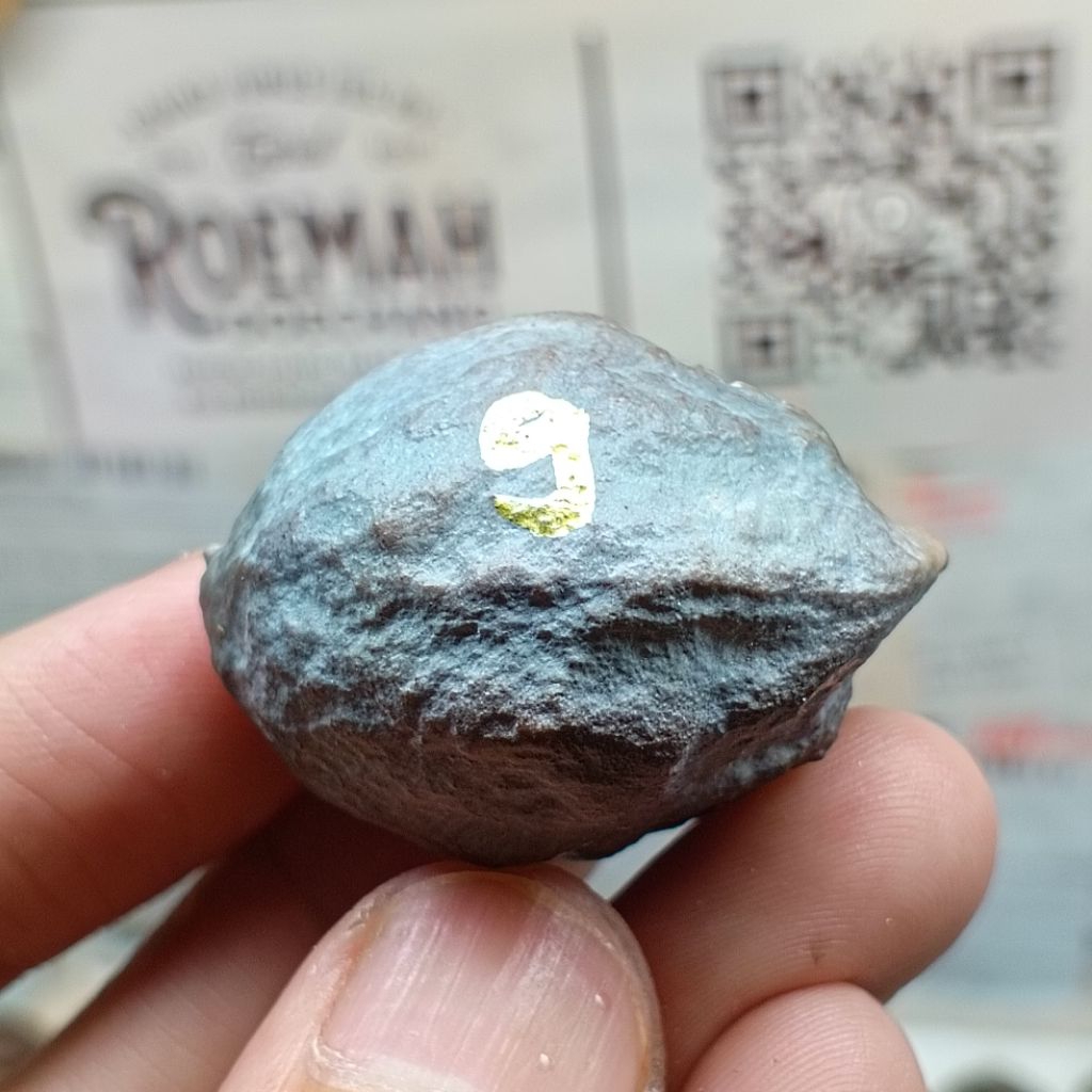 Muncang Adu Jabra Bella kode 9