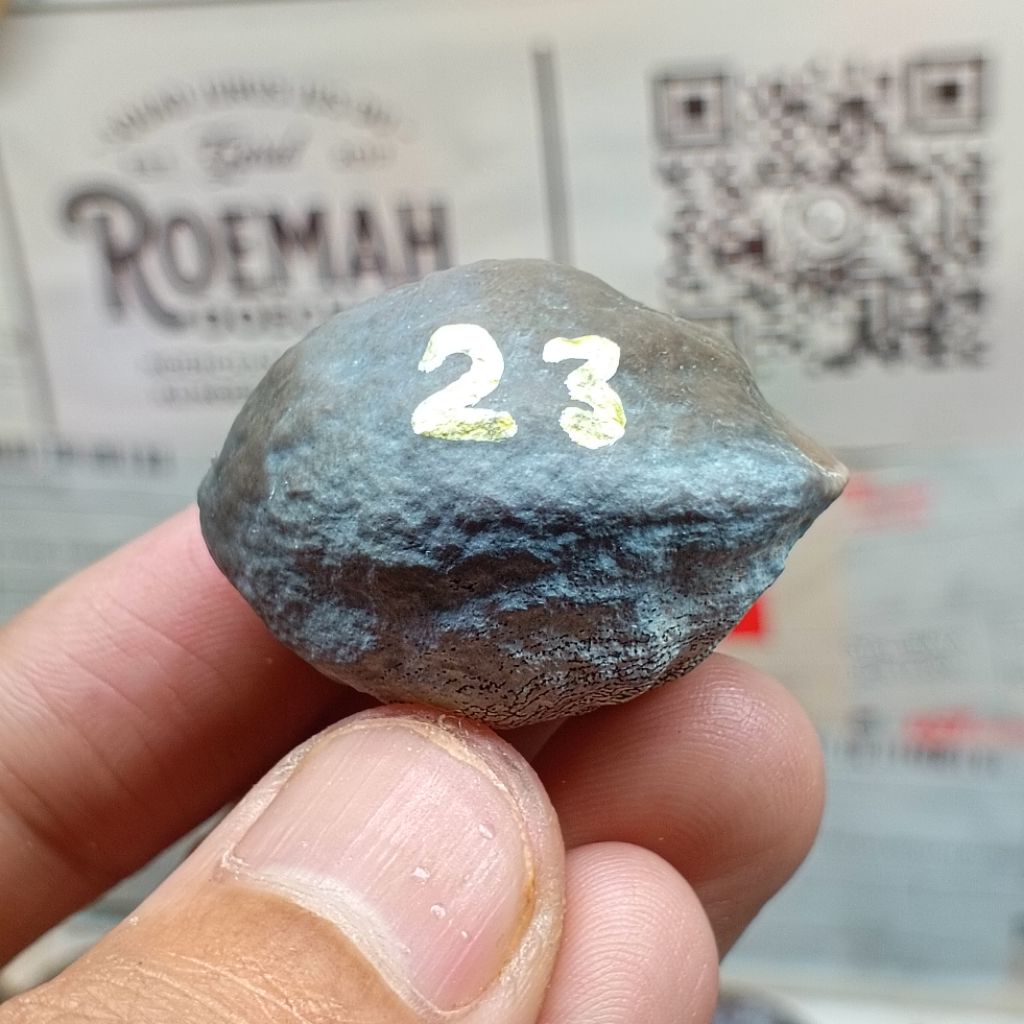 Muncang Adu Jabra Bella kode 23