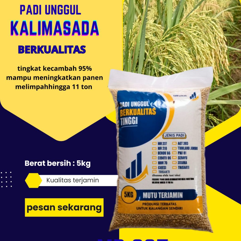 BENIH PADI KALIMASADA KEMASAN 5KG