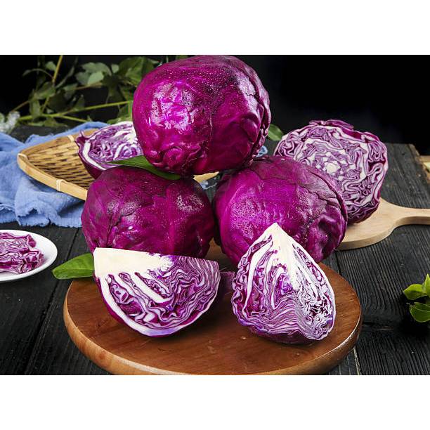 PASTI BONUS - Bibit Kubis Ungu