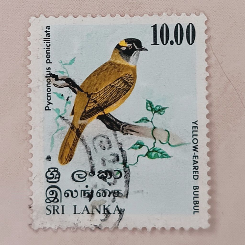 (AA) Perangko Sri Lanka 1979 Birds 1979 - Yellow-eared Bulbul (Pycnonotus penicillatus) 10 rupee Use