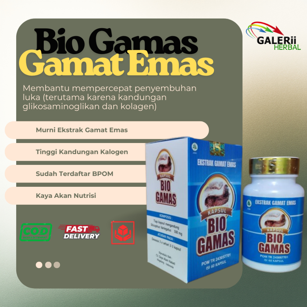 Gamat Emas Ekstrak Bio Gamas Mabruuk 60 Kapsul Herbal Mabruuk