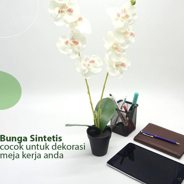 Bunga Anggrek Putih Plastik + Pot Cantik