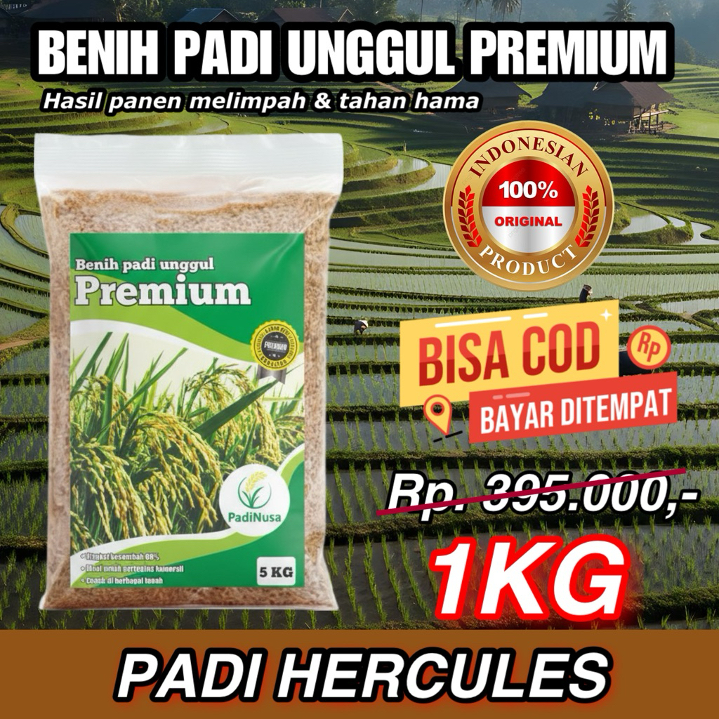 PadiNusa - BENIH PADI HERKULES Hercules ( GHG ) KEMASAN 1KG