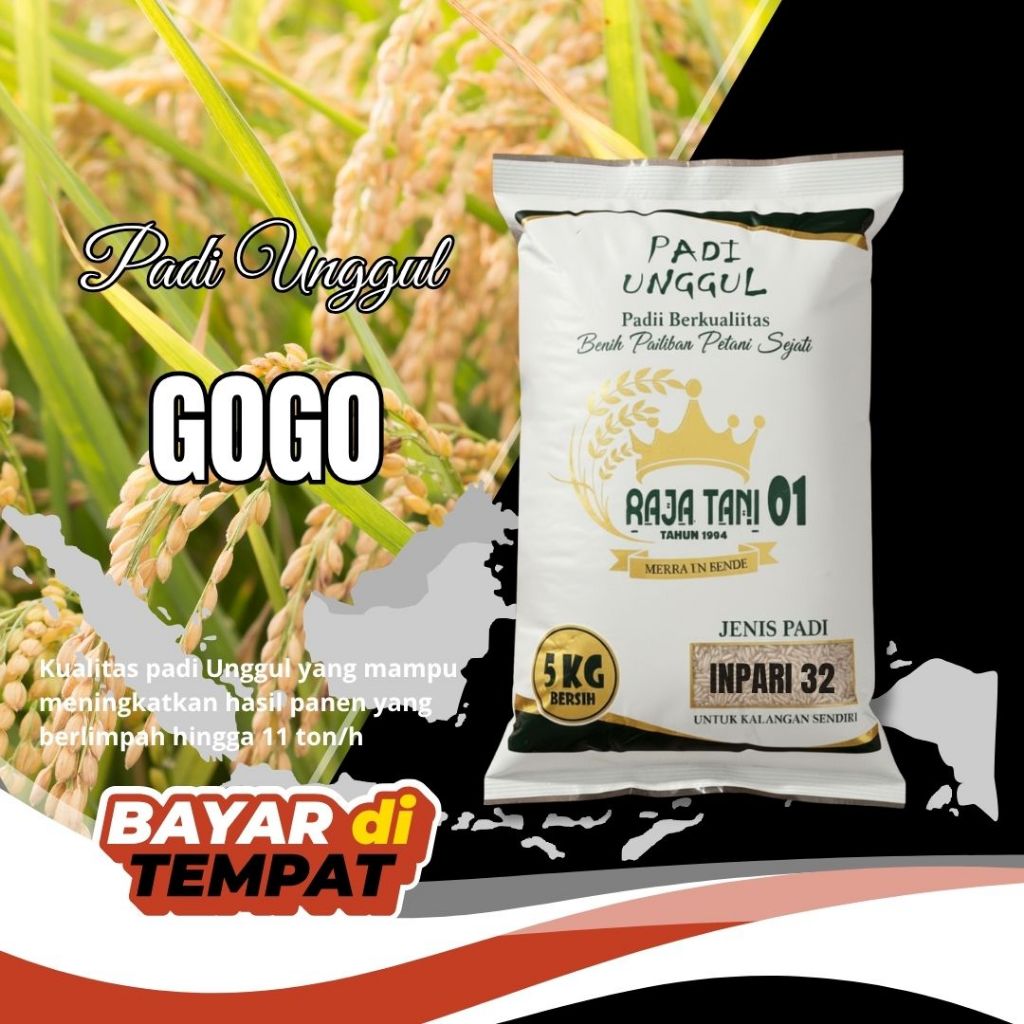benih padi unggul gogo 5kg asli bibit cepat panen 60 hari