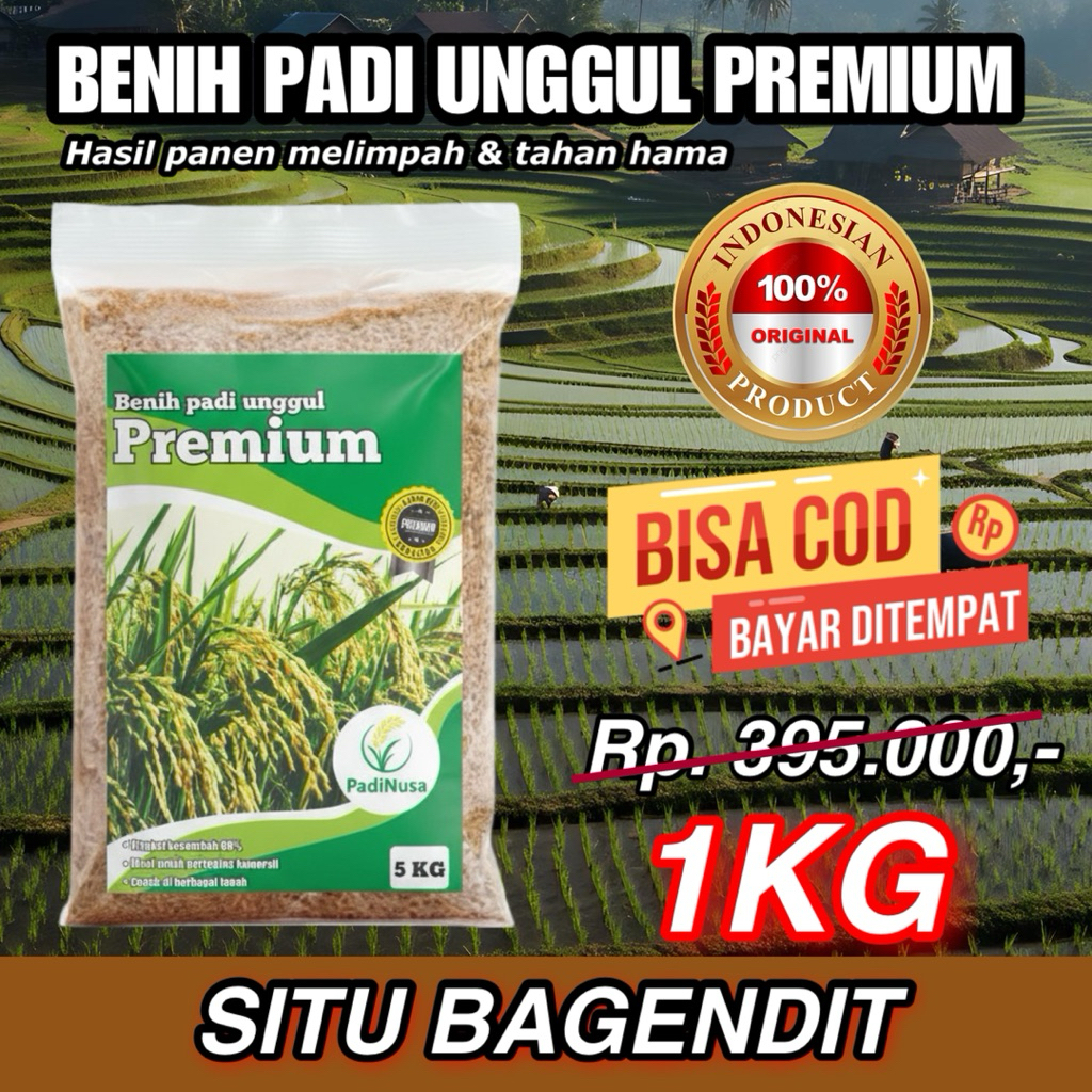 PadiNusa - Benih padi unggul premium SITU BAGENDIT 1KG padi inbrida original tahan hama
