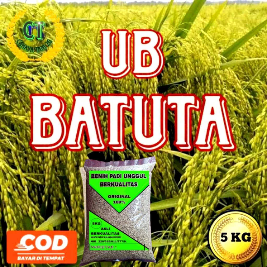 BENIH PADI UB BATUTA SUPER 5KG