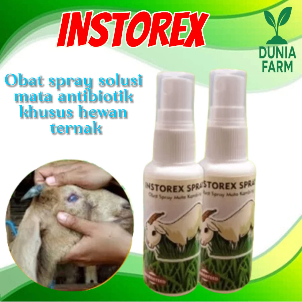 Obat Mata Untuk Hewan Sapi Kambing  Antibiotik DUNIAFARM