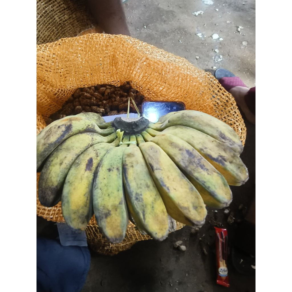 pisang kepok super