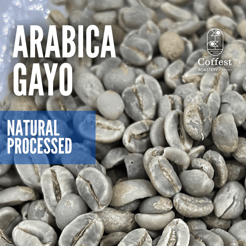 Green Bean Specialty Arabika Gayo - Natural Processed - 1 kg