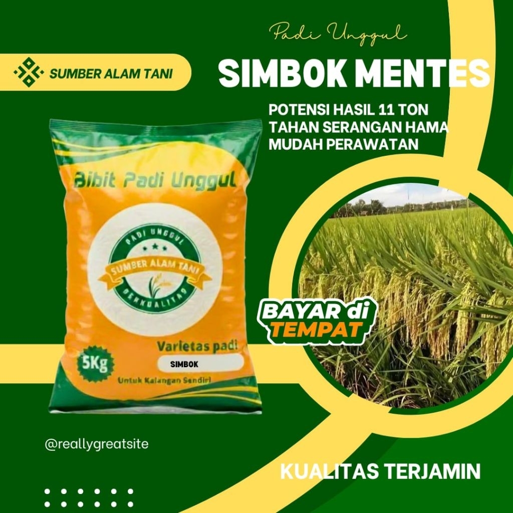 Bibit padi unggul Simbok kemasan 5kg