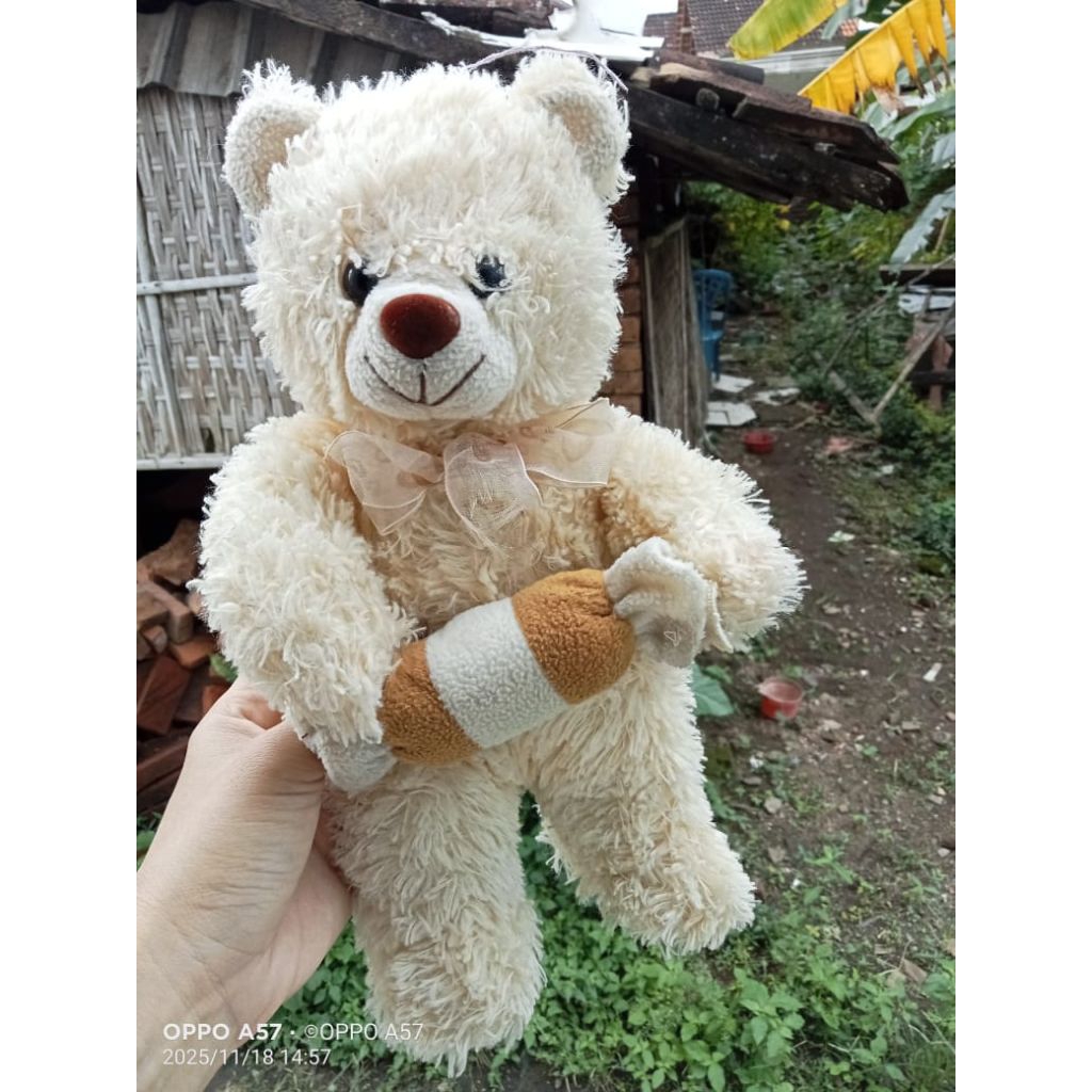 Boneka Beruang Mini Teddy Bear Kecil 30cm Premium Lucu Cozy