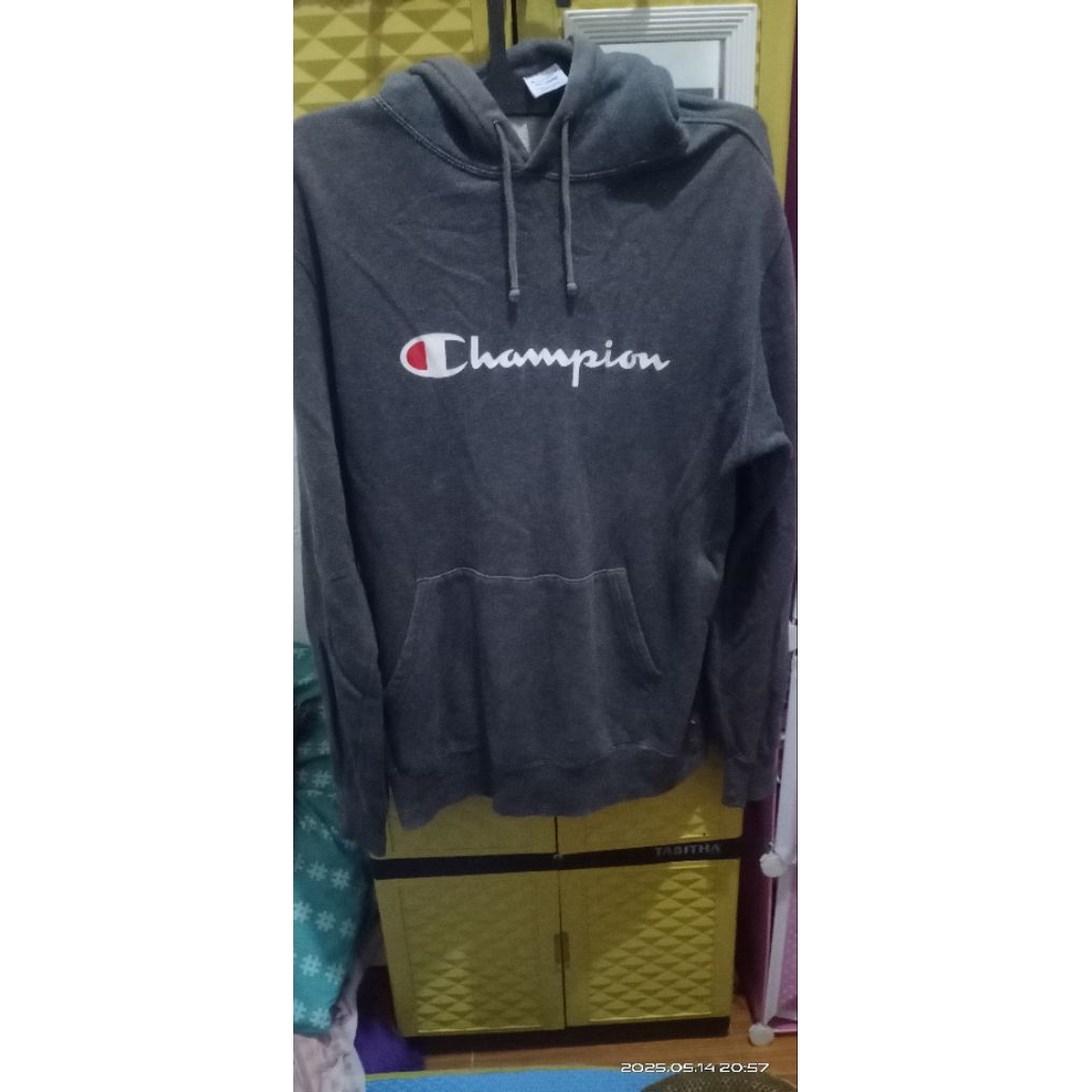 hoodie champion second