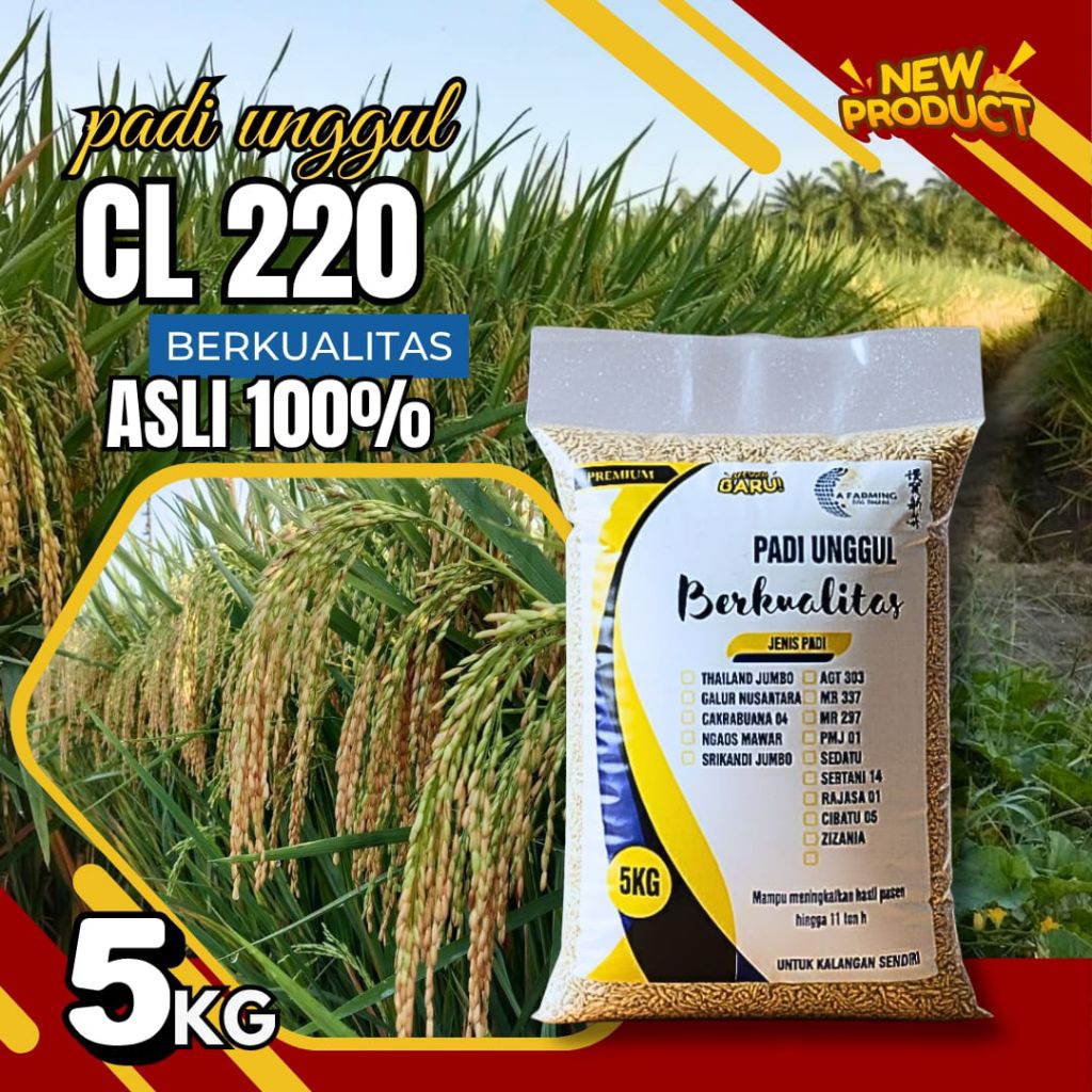 Benih padi unggul cl 220 original 5kg