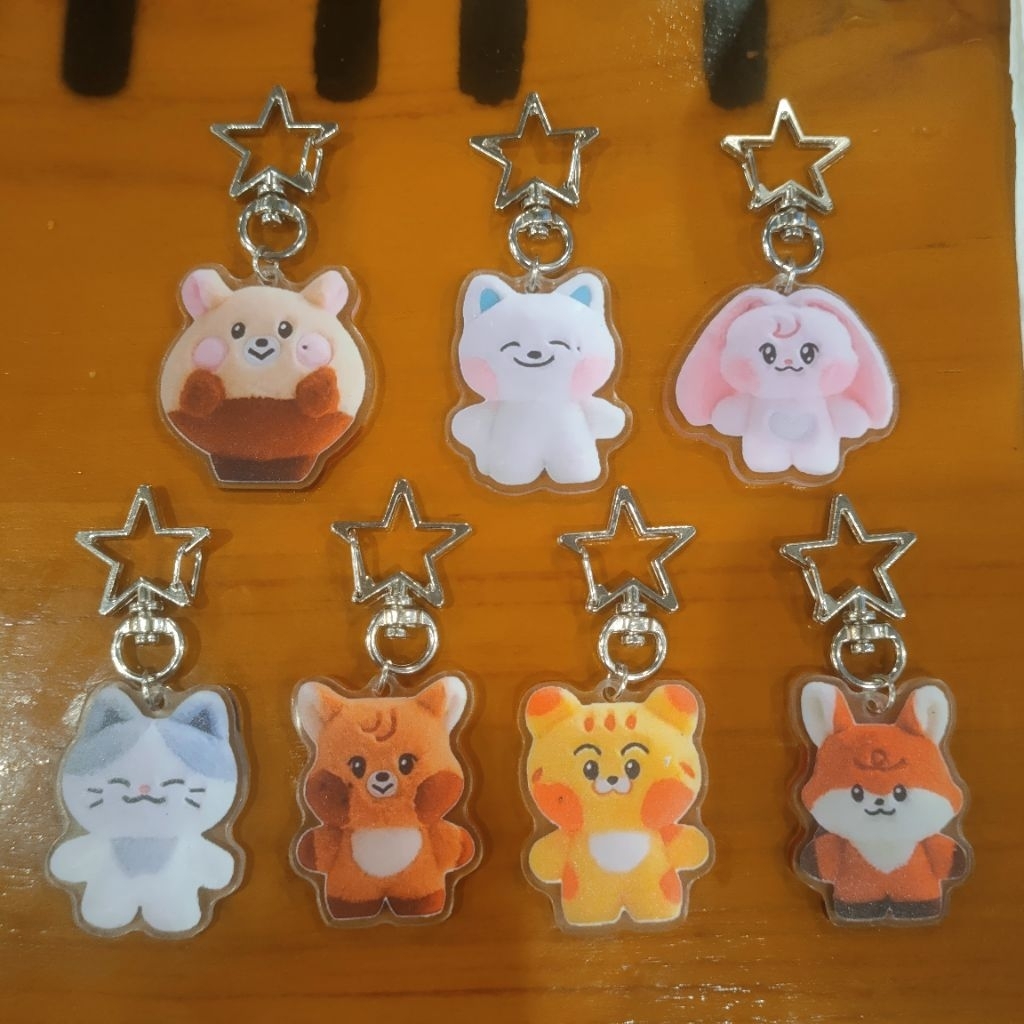 Keychain akrilik NCT Dream Dreamiez Line friends edition