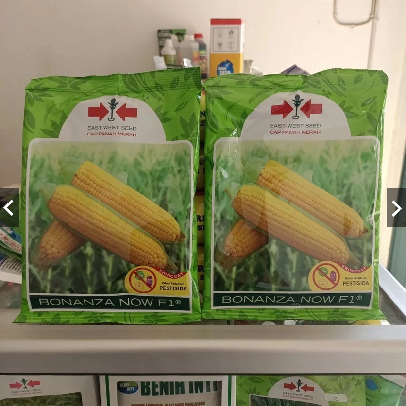PROMO Bibit Jagung Bonanza Now F1 Manis 1800 Biji