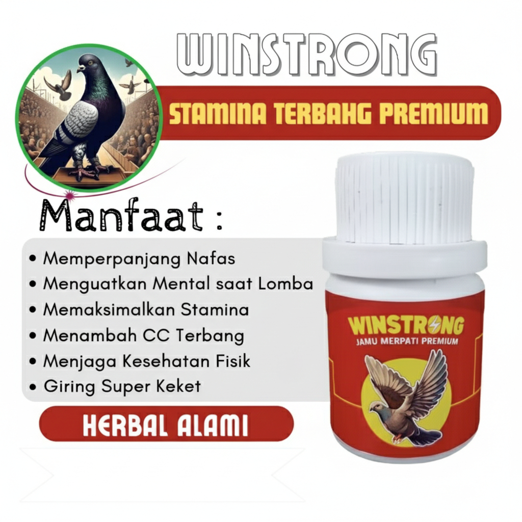WINSTRONG Jamu Stamina Merpati Juara Balap Kolong Tinggi Pos - Gubuk Ternak Jaya