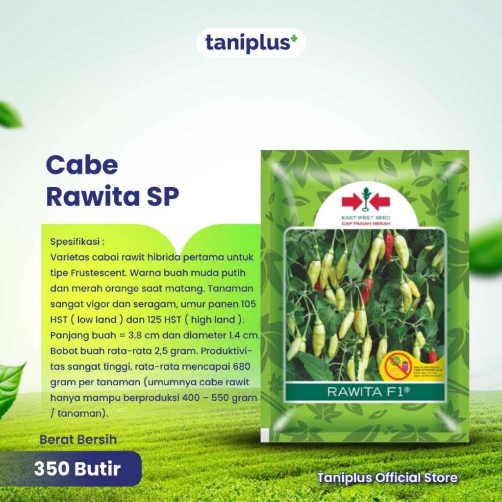 Cabe Rawita SP 350 Butir - Benih Hortikultura