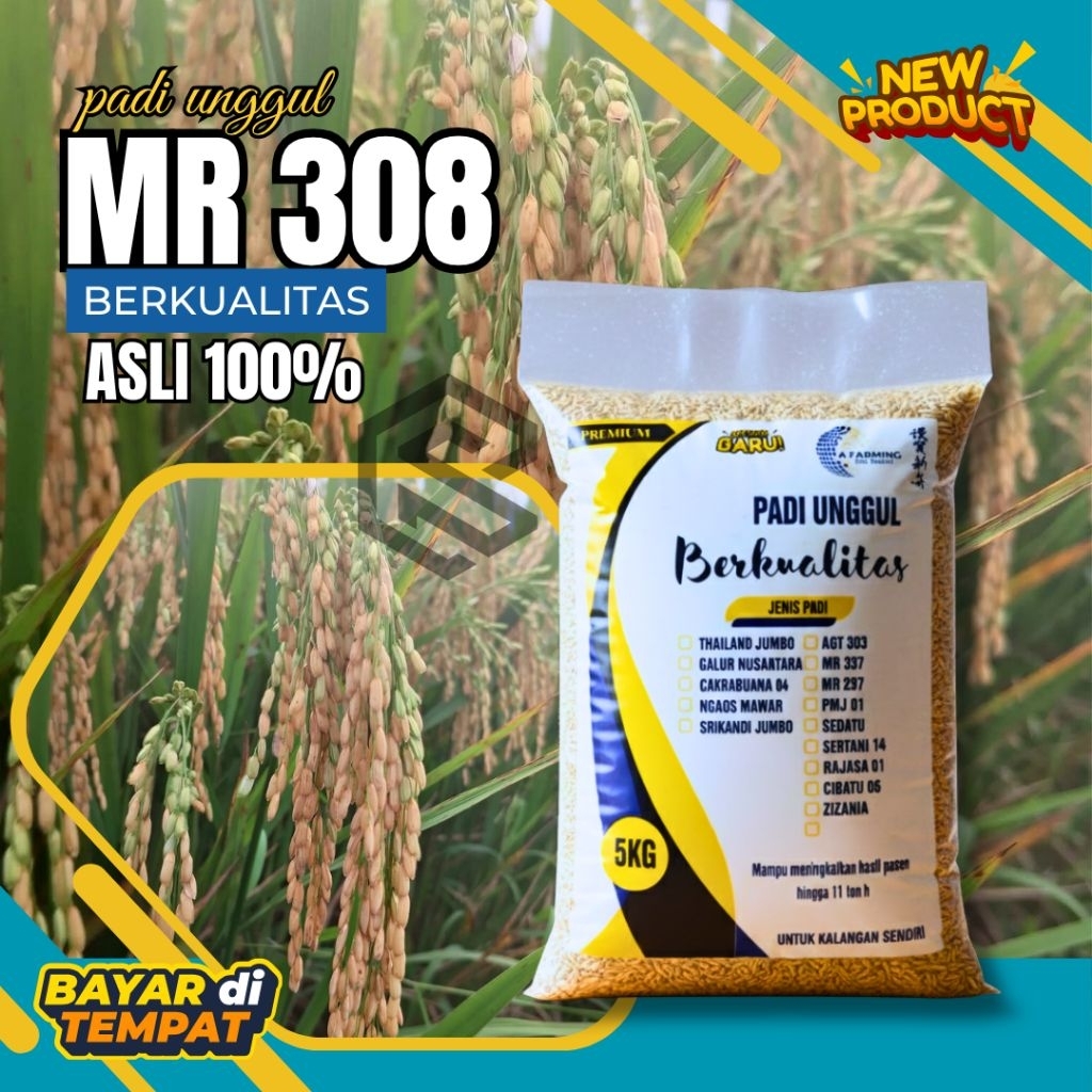 Benih padi unggul mr 308 5kg