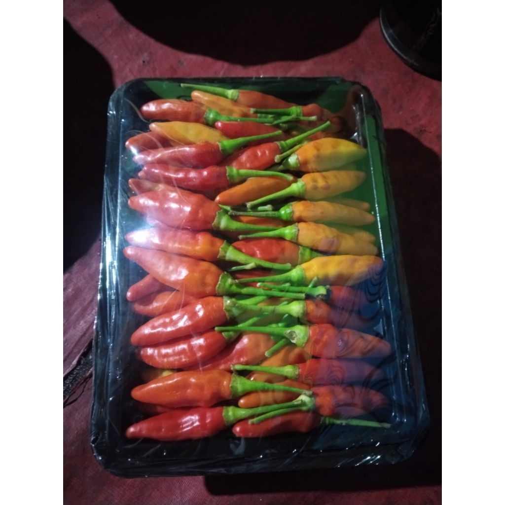 Cabai Rawit merah Organik 250gram