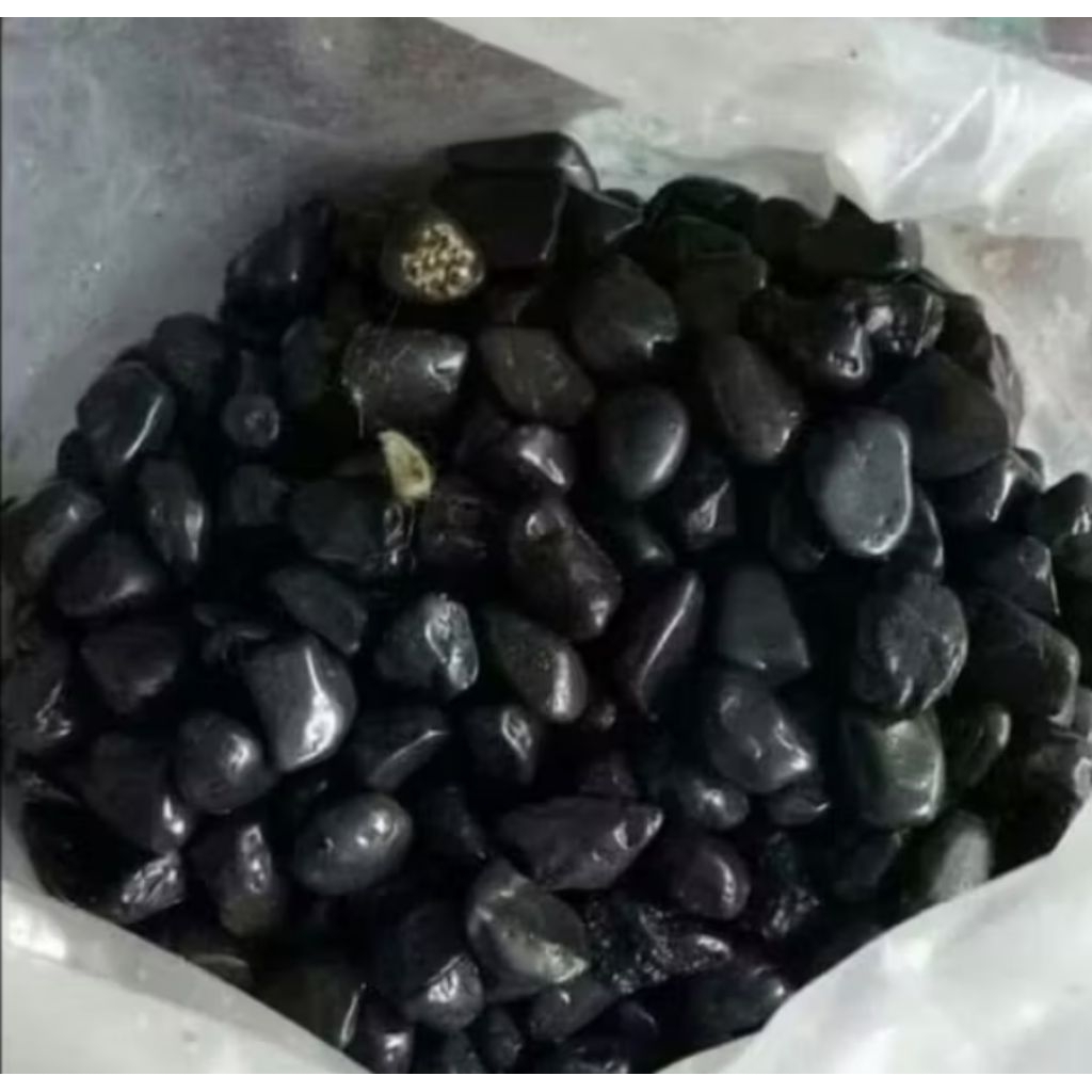 Batu koral hitam - batu hiasan - batu taman 500gr
